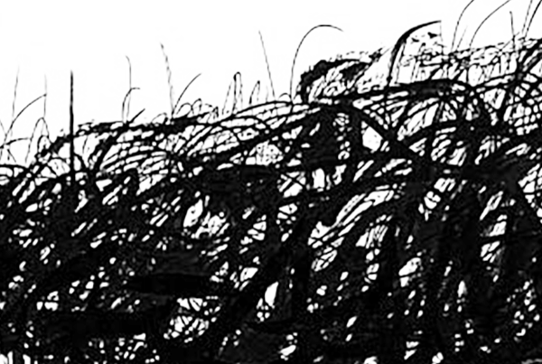 grumo di capelli