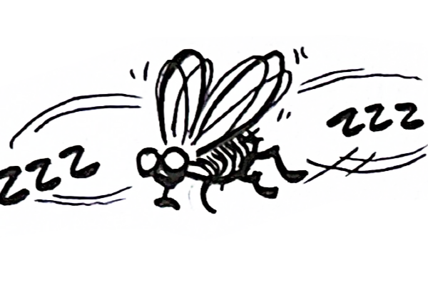 mosca